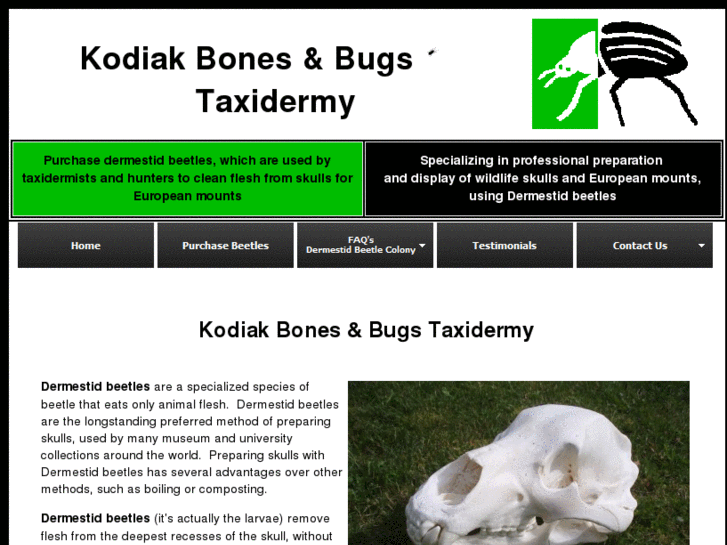 www.bonesandbugs.com