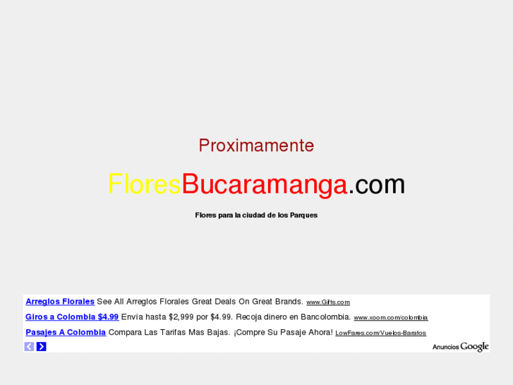 www.floresbucaramanga.com