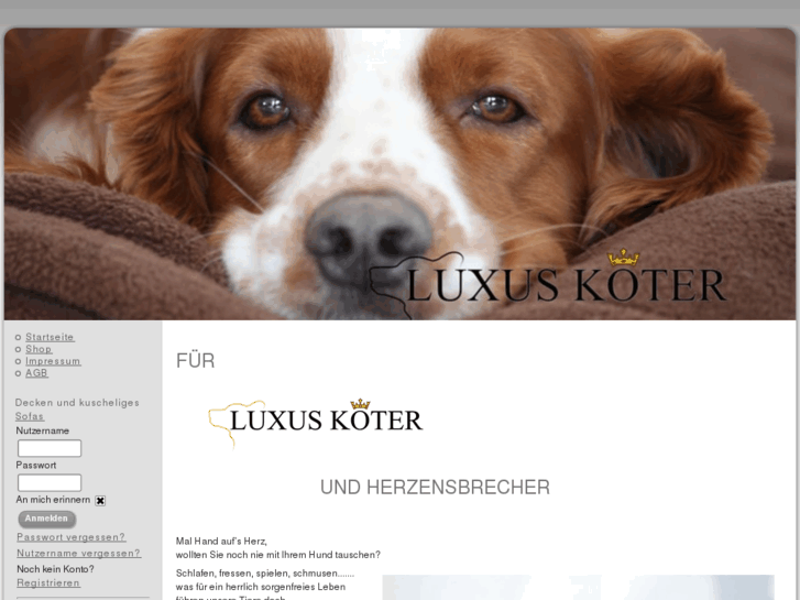 www.luxus-koeter.com