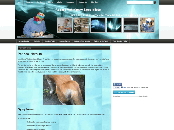 www.perinealherniaindogs.com