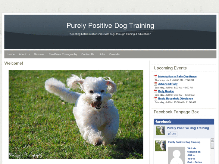 www.purelypositivedogtraining.net