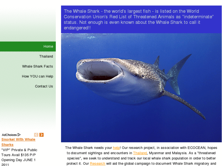 www.whale-sharks.com