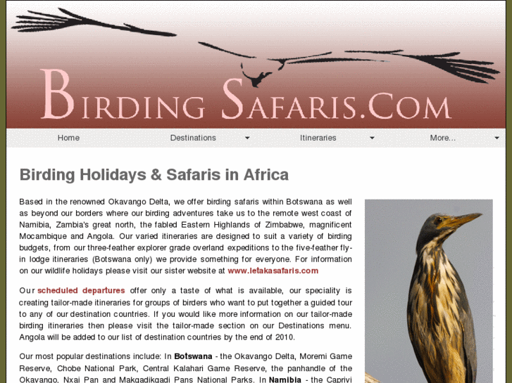 www.birdingsafaris.com