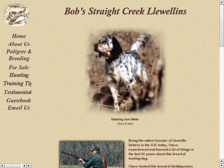 www.bobsstraightcreekllewellins.com