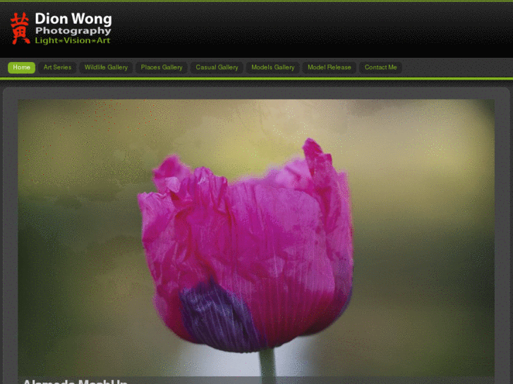 www.dionwong.com