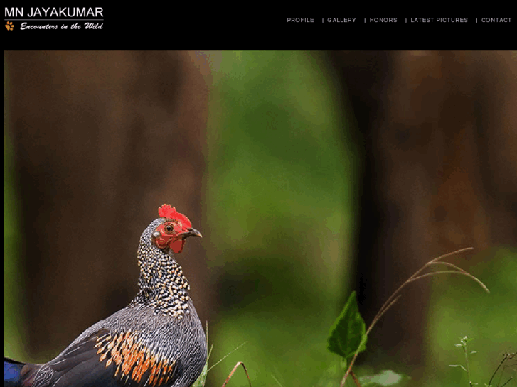 www.mnjayakumar.com