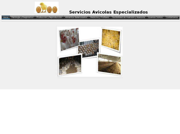 www.serviciosavicolasespecializados.com