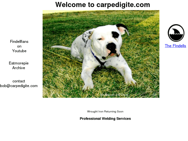 www.carpedigite.com