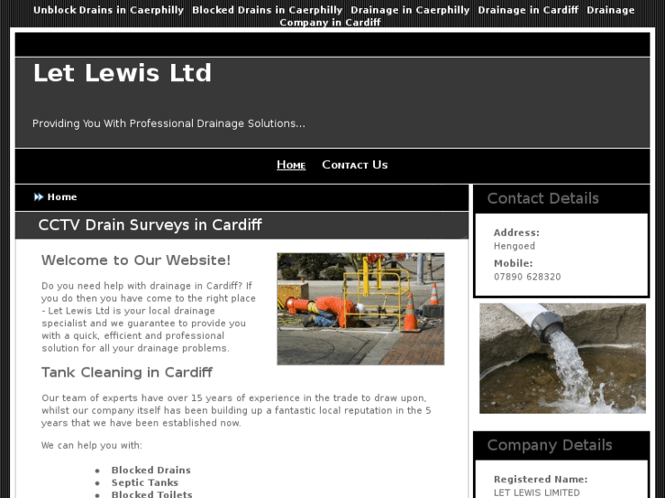 www.letlewisltd.com