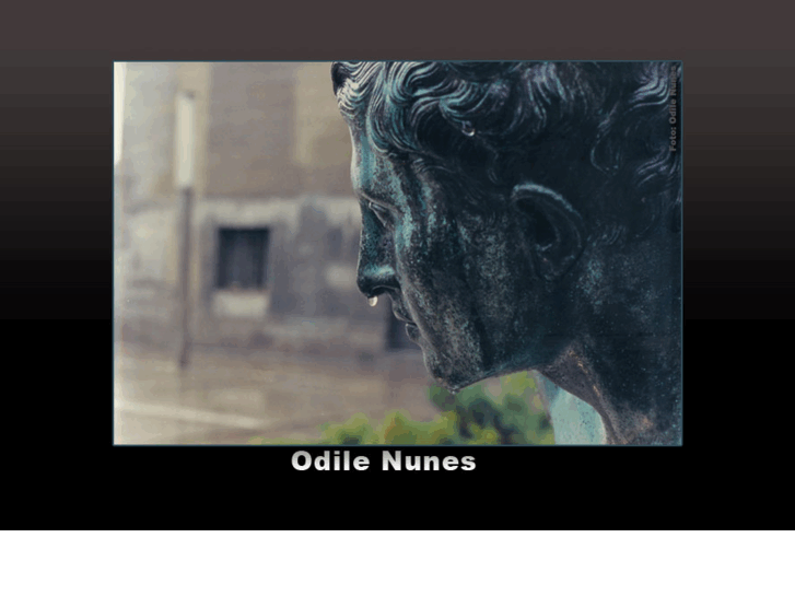 www.odilenunes.com