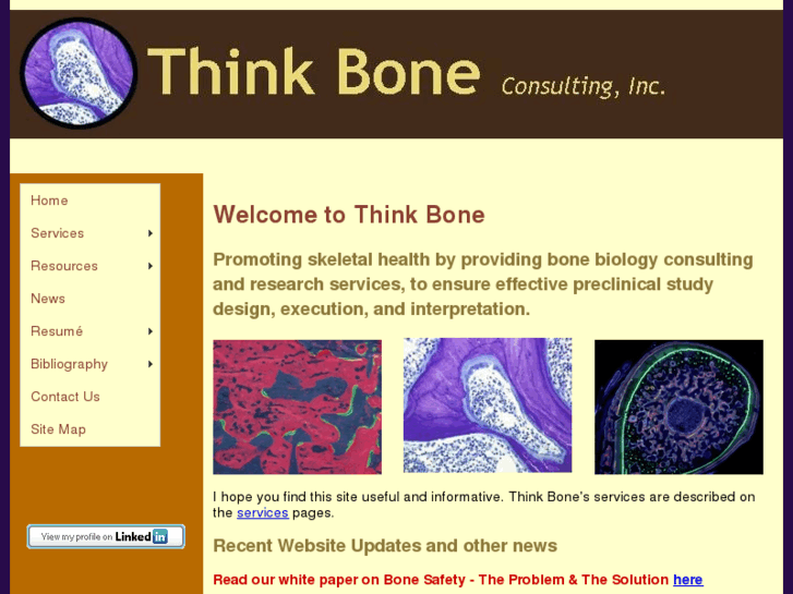 www.thinkboneconsulting.com