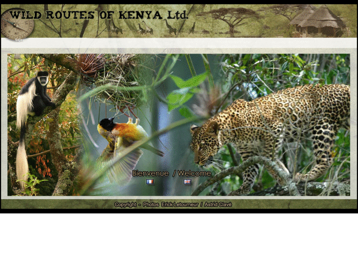 www.wild-routes-of-kenya.com