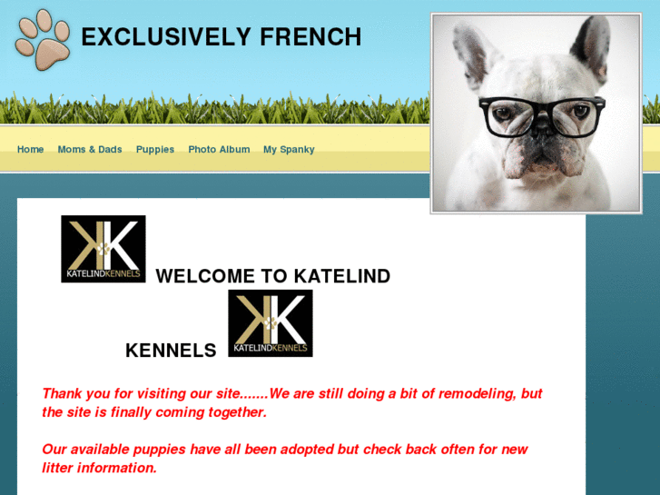 www.exclusivelyfrench.com