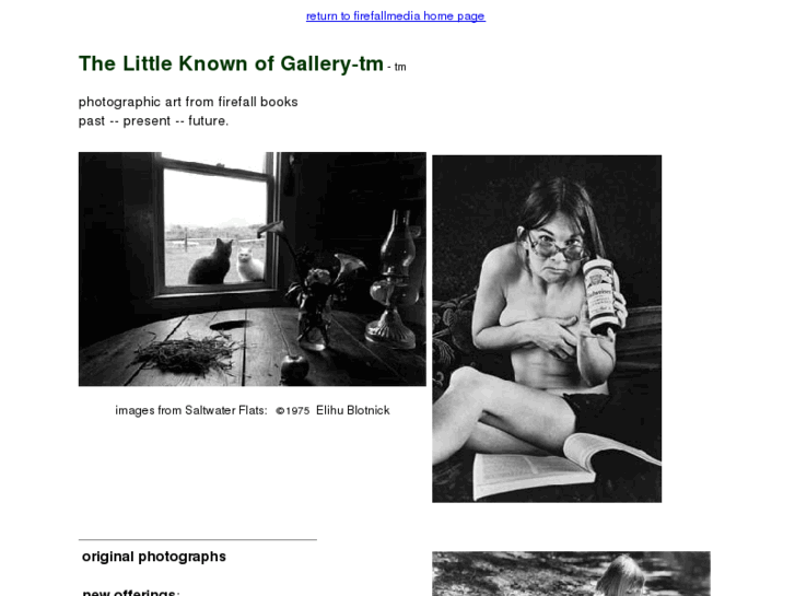 www.littleknowngallery.com