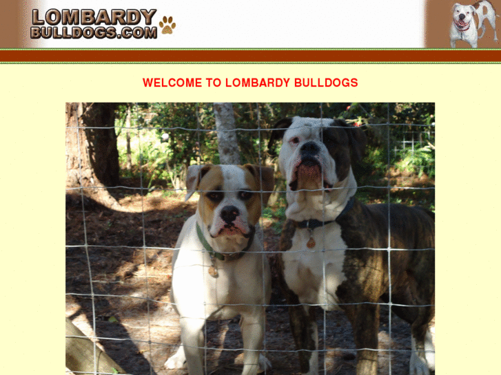 www.lombardybulldogs.com