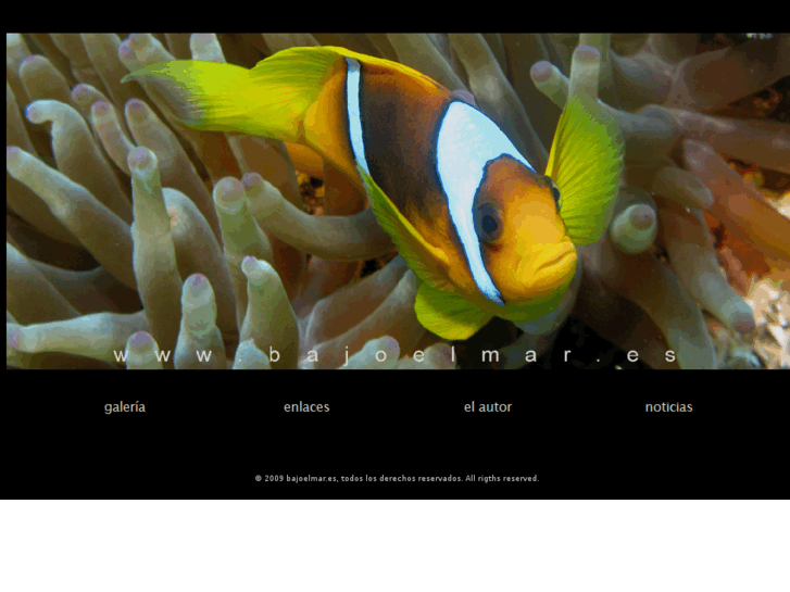 www.bajoelmar.es