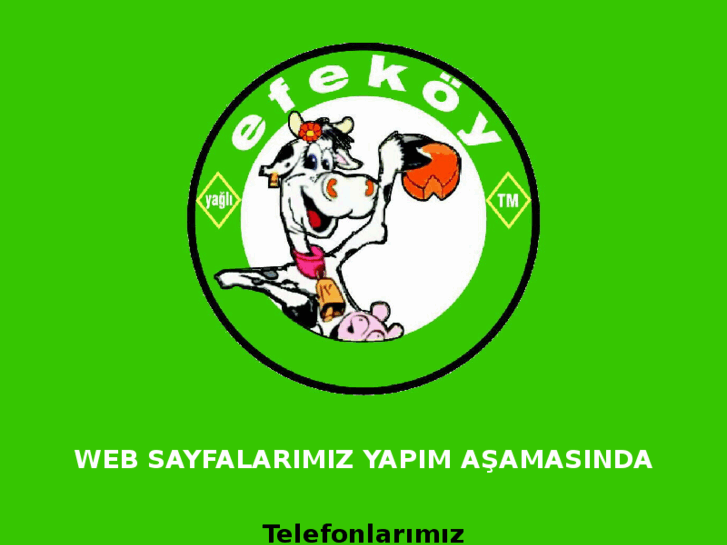 www.efekoy.com