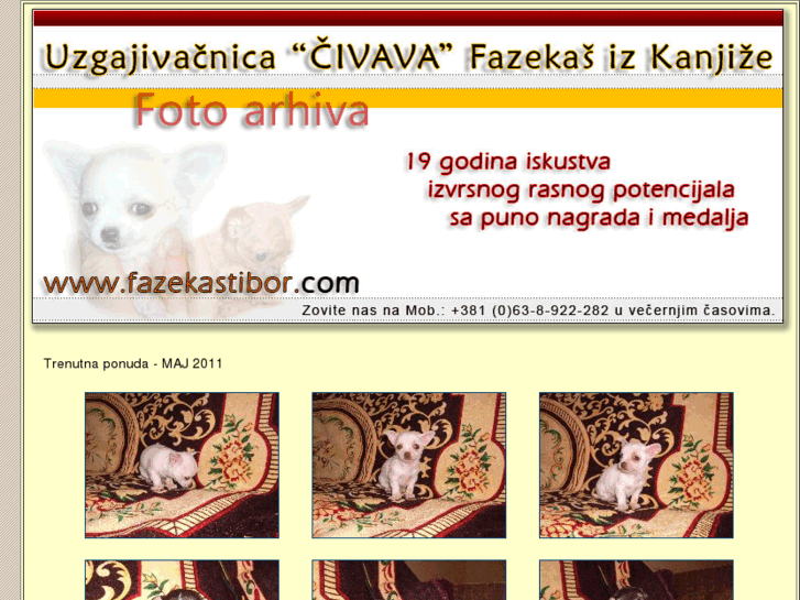 www.fazekastibor.com
