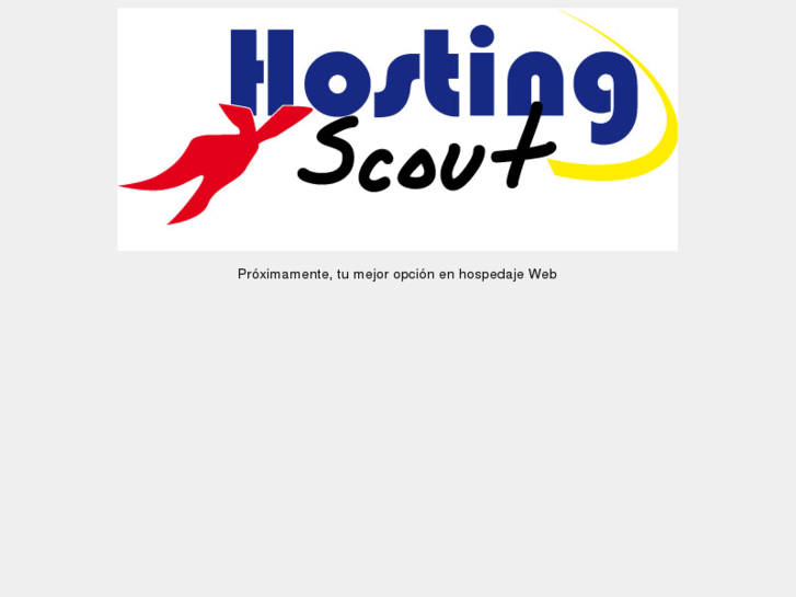 www.hostingscout.net