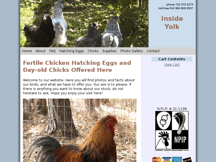 www.insideyolk.com