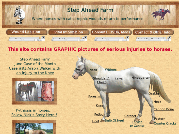 www.stepaheadfarm.com