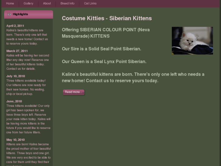 www.colorpointkittens.com