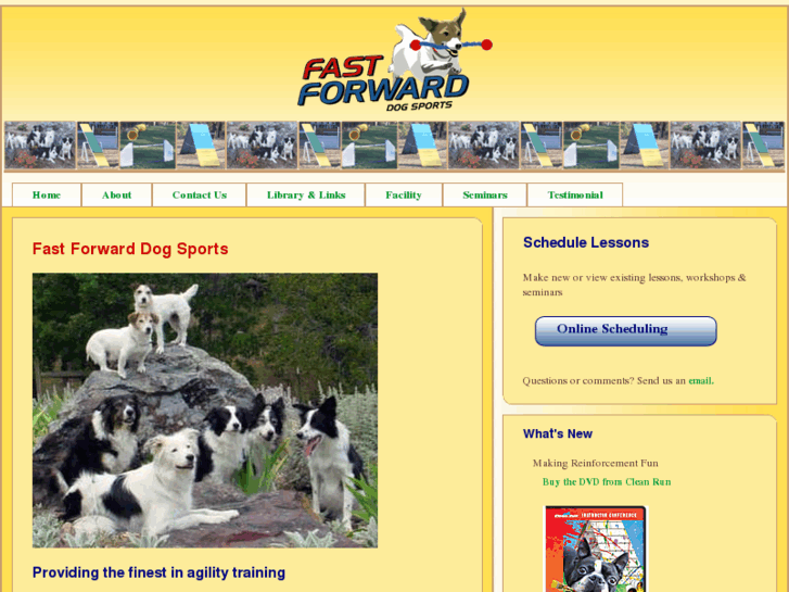 www.fastforwarddogsports.com