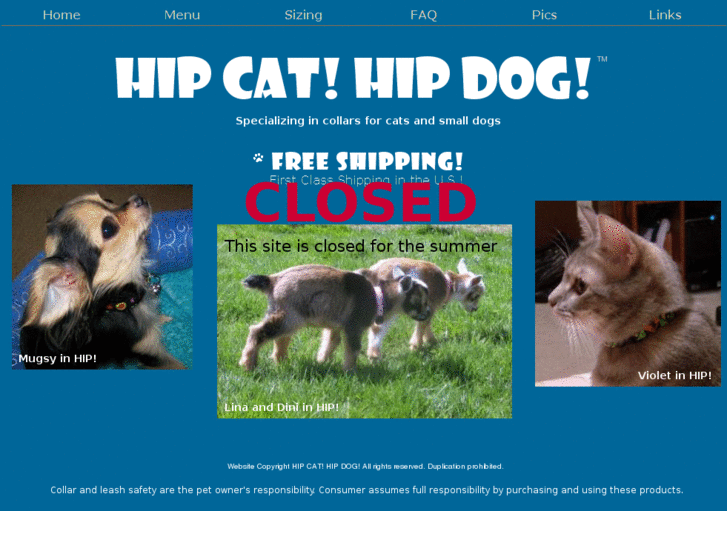 www.hipcathipdog.com