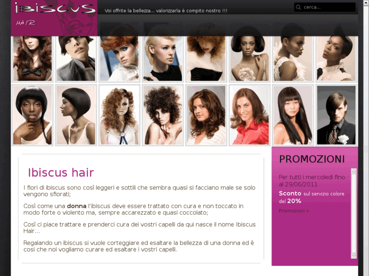 www.ibiscushair.com