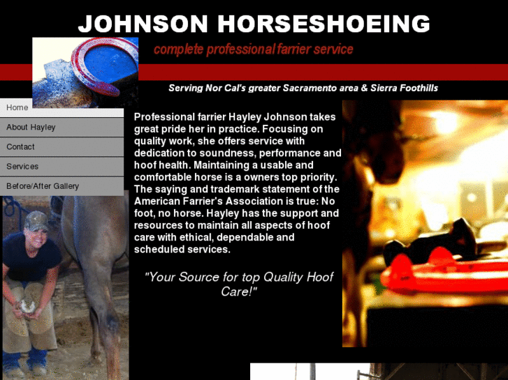 www.johnsonhorseshoeing.com