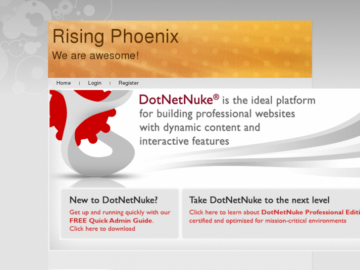 www.risingphoenixit.com