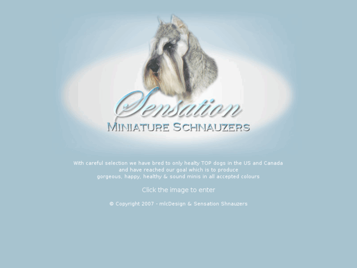 www.sensationschnauzers.com