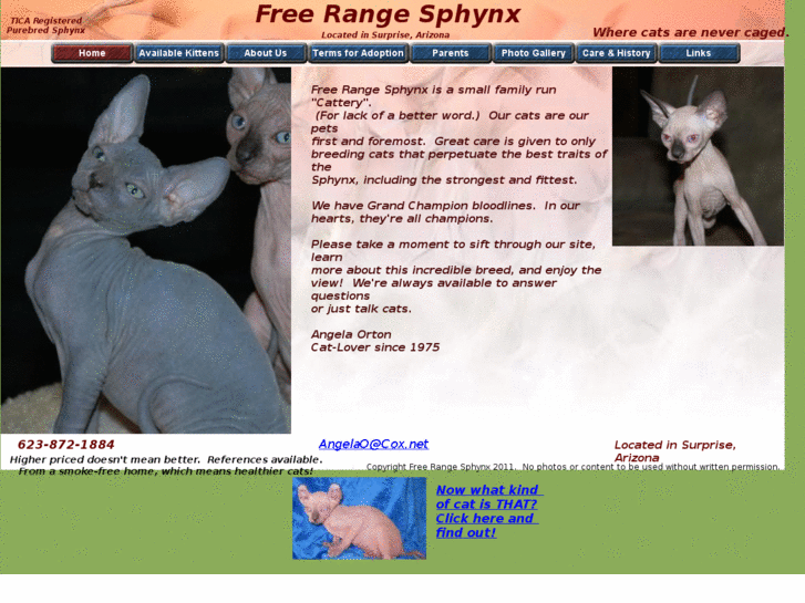 www.sphynxcatz.com