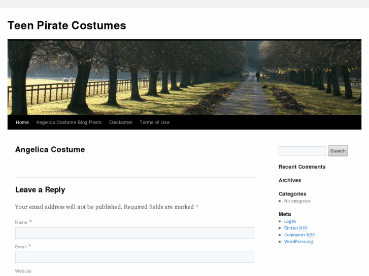 www.teenpiratecostumes.com