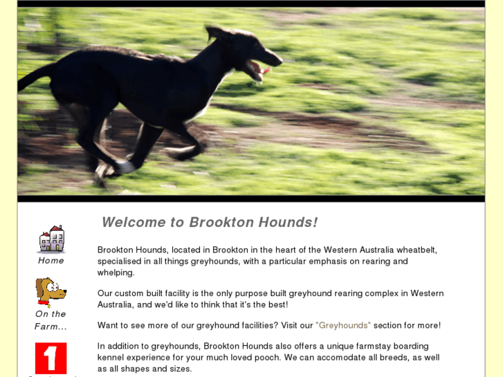 www.brooktonhounds.com.au