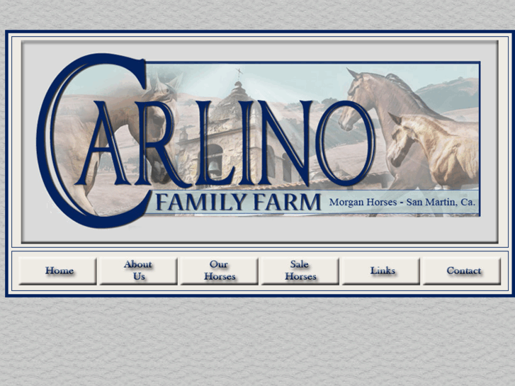 www.carlinofamilyfarm.com