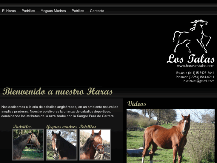 www.haraslostalas.com