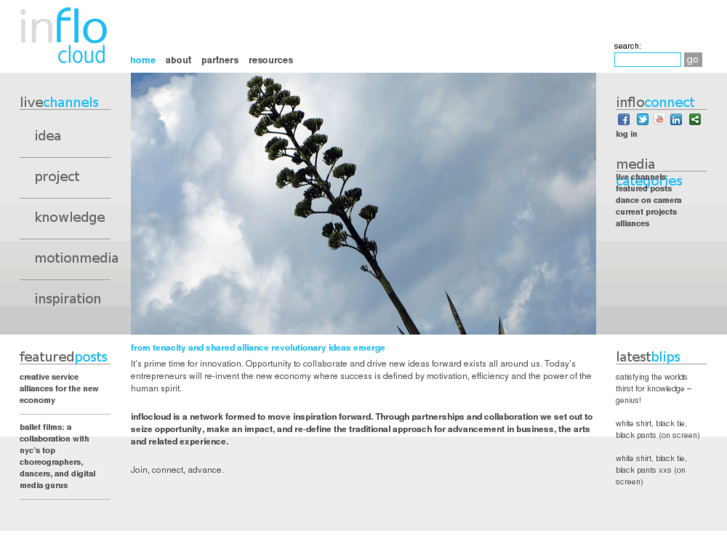 www.idea-flo.net