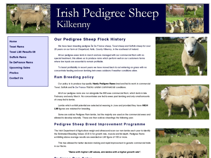 www.pedigreesheep.com