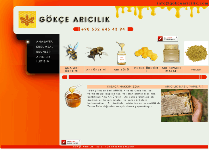 www.gokcearicilik.com