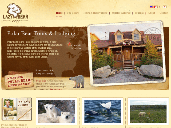 www.lazybear-polar-bears.com