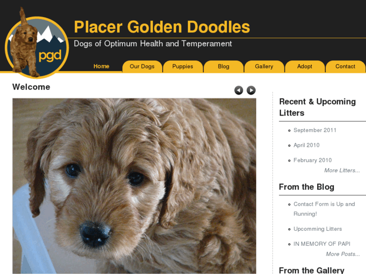 www.placergoldendoodles.com