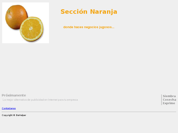 www.seccionnaranja.com