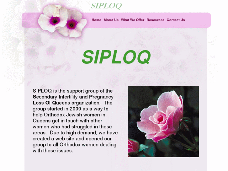 www.siploq.com