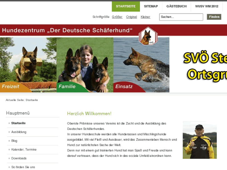 www.svoe-steyr-gleink.com