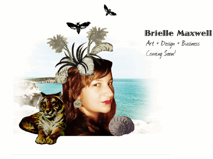 www.briellemaxwell.com