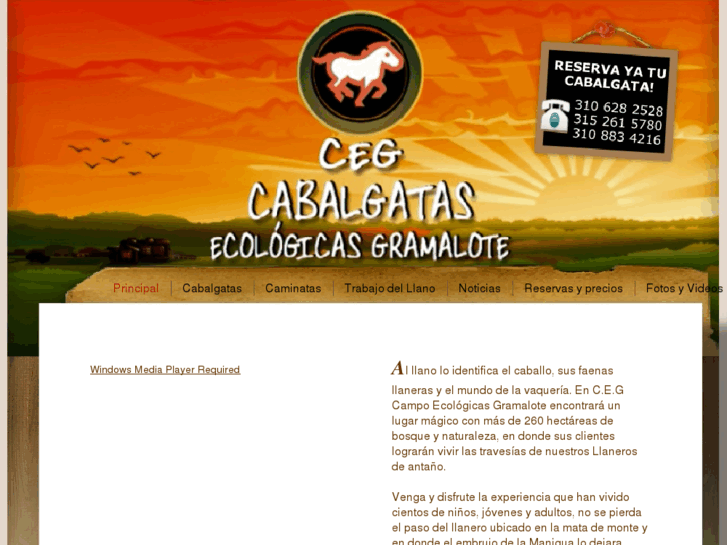 www.cegcabalgatas.com