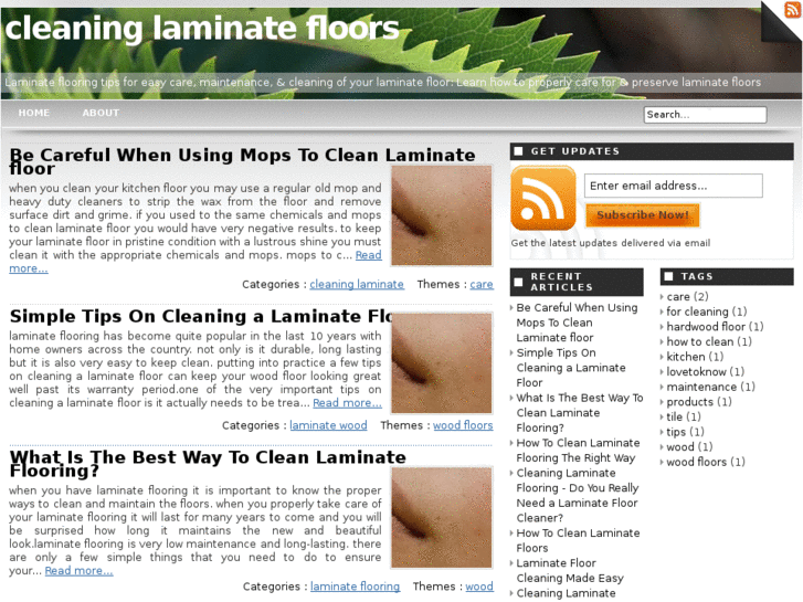 www.cleaninglaminatefloors.info