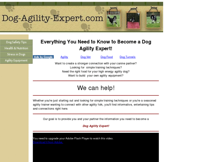 www.dog-agility-expert.com