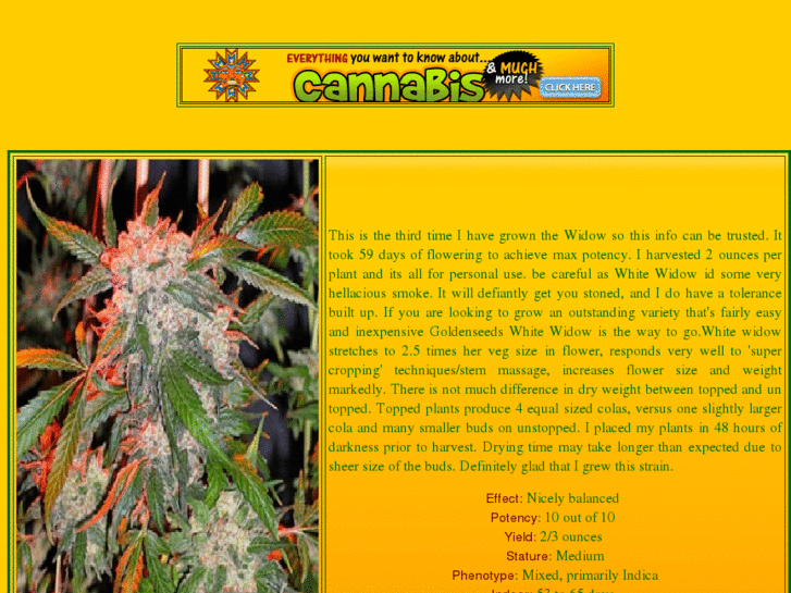 www.femalecannabisseeds.info